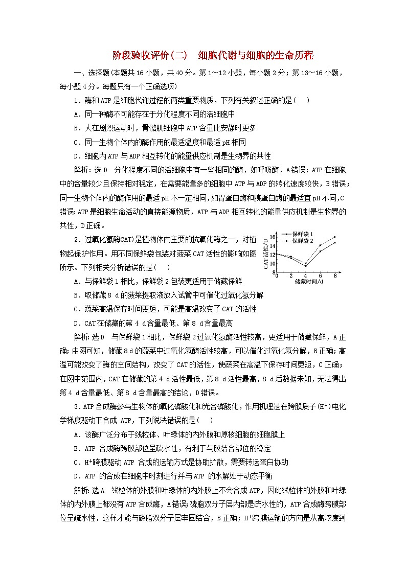 2024届高考生物一轮总复习阶段验收评价二细胞代谢与细胞的生命历程 试卷01