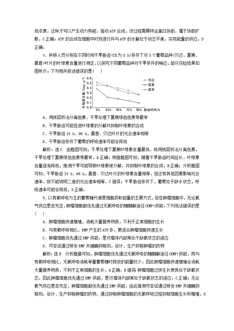 2024届高考生物一轮总复习阶段验收评价二细胞代谢与细胞的生命历程 试卷02