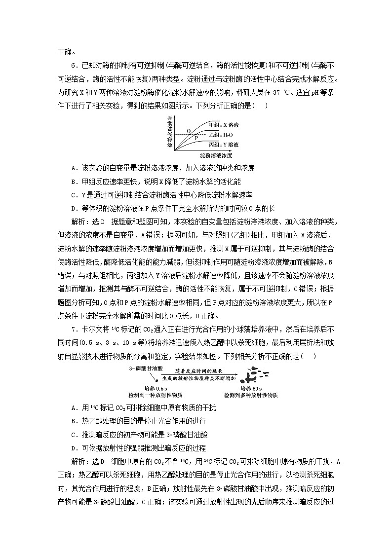 2024届高考生物一轮总复习阶段验收评价二细胞代谢与细胞的生命历程 试卷03