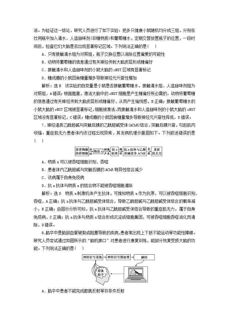 2024届高考生物一轮总复习阶段验收评价四稳态与调节第3页