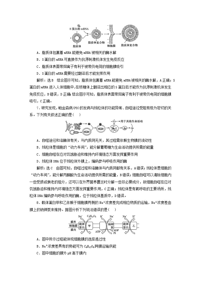 2024届高考生物一轮总复习阶段验收评价一细胞的组成结构与物质运输第3页