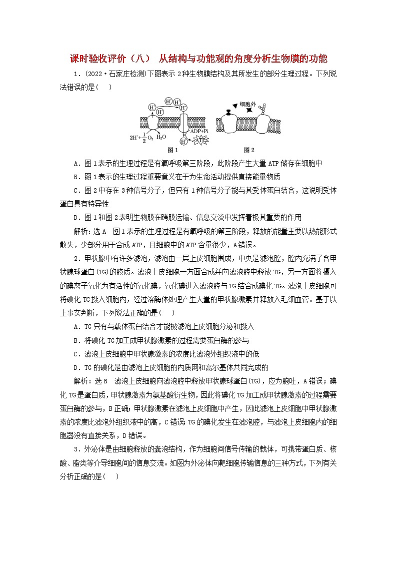 2024届高考生物一轮总复习课时验收评价八从结构与功能观的角度分析生物膜的功能第1页