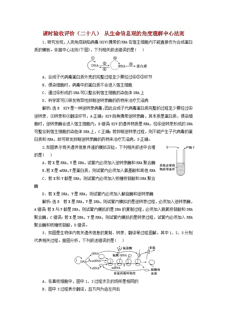 2024届高考生物一轮总复习课时验收评价二十八从生命信息观的角度理解中心法则第1页
