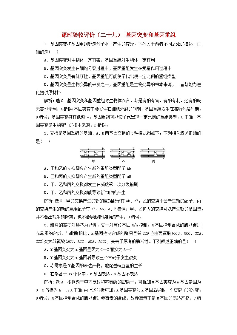 2024届高考生物一轮总复习课时验收评价二十九基因突变和基因重组第1页