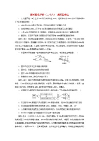 2024届高考生物一轮总复习课时验收评价二十六基因的表达