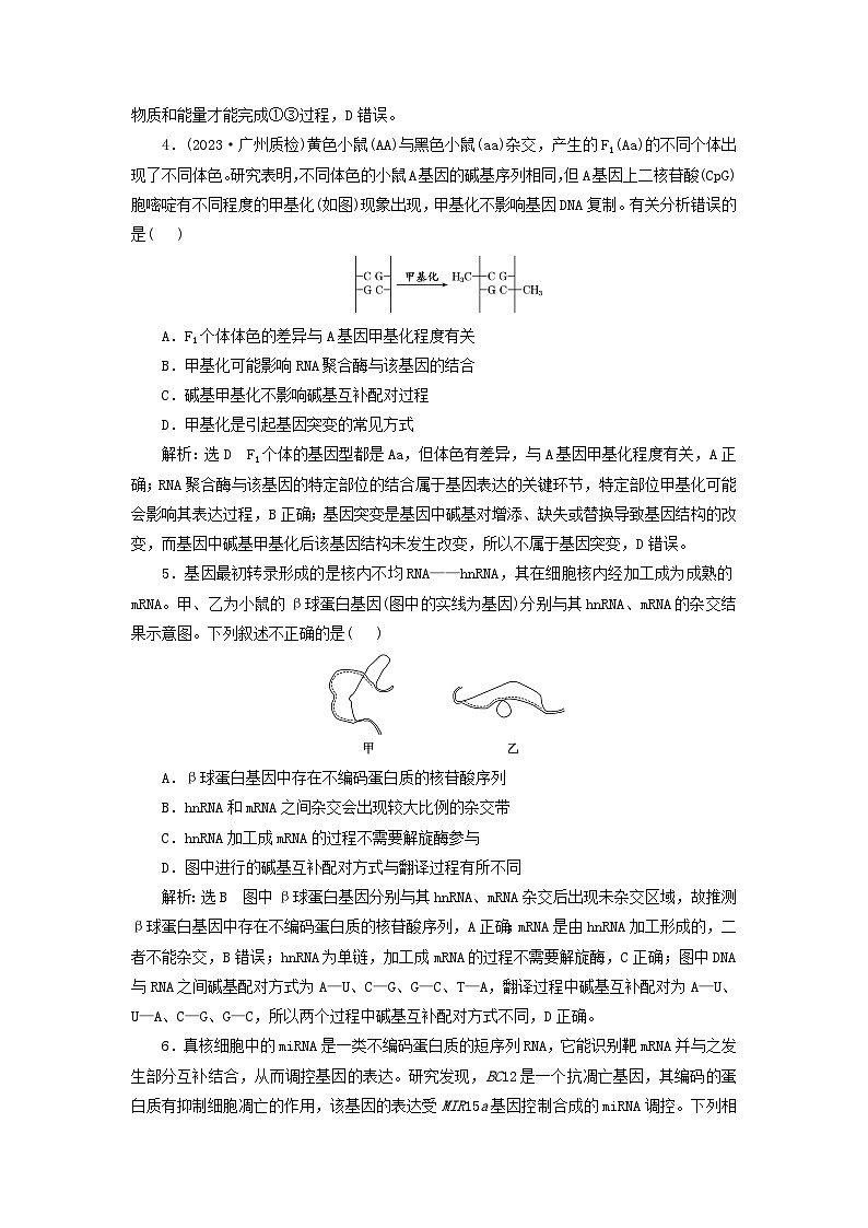 2024届高考生物一轮总复习课时验收评价二十六基因的表达 试卷02