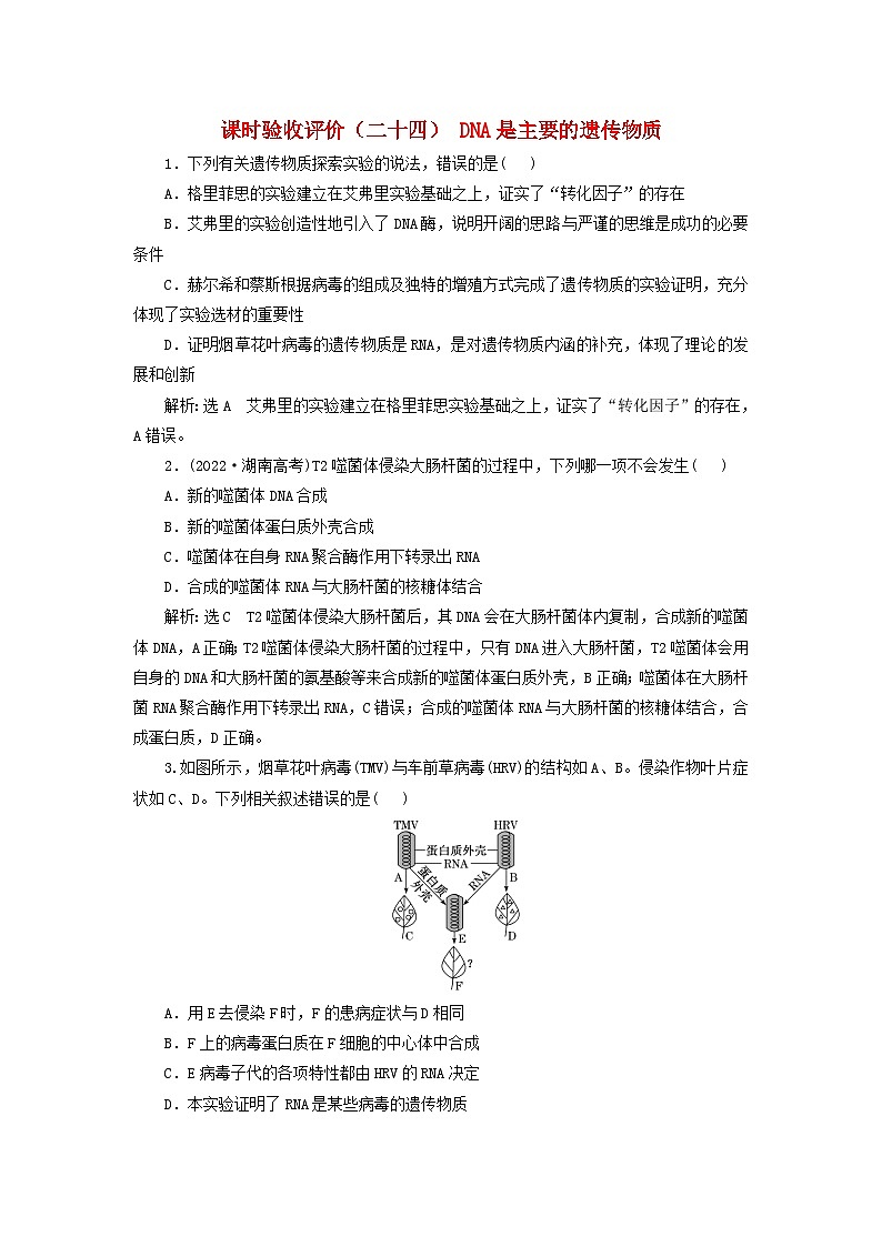 2024届高考生物一轮总复习课时验收评价二十四DNA是主要的遗传物质 试卷01