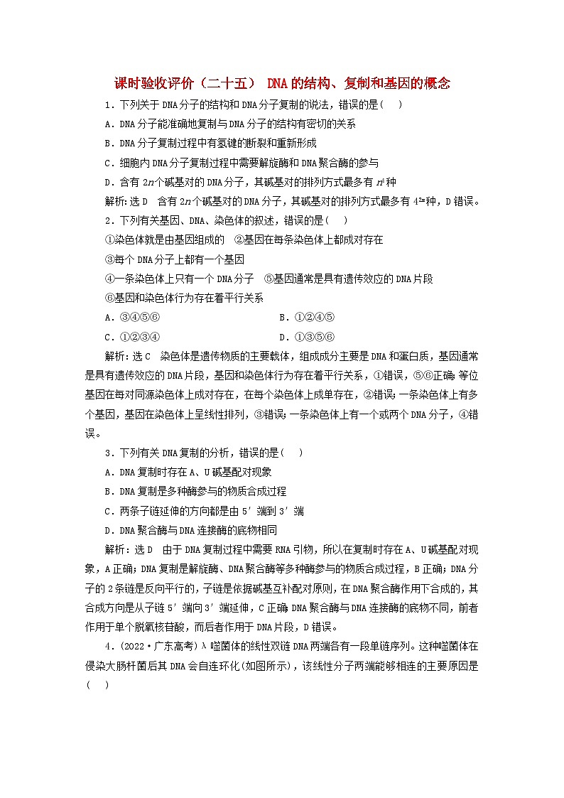 2024届高考生物一轮总复习课时验收评价二十五DNA的结构复制和基因的概念第1页