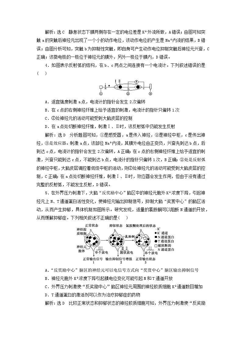 2024届高考生物一轮总复习课时验收评价三十八神经调节中膜电位变化分析与相关实验探究 试卷02