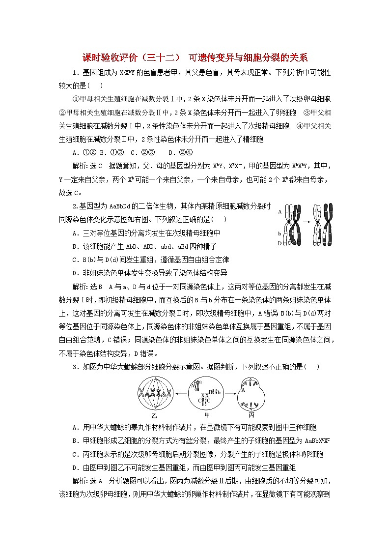 2024届高考生物一轮总复习课时验收评价三十二可遗传变异与细胞分裂的关系第1页