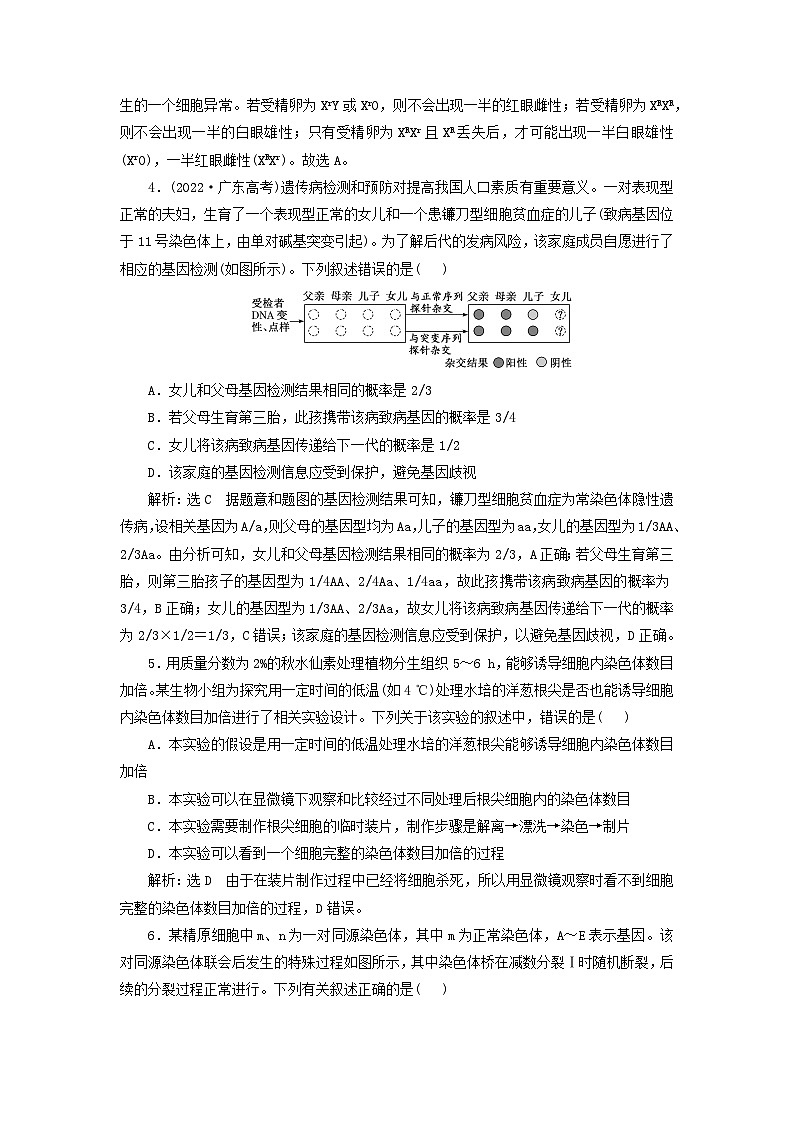 2024届高考生物一轮总复习课时验收评价三十染色体变异与育种及人类遗传病第2页