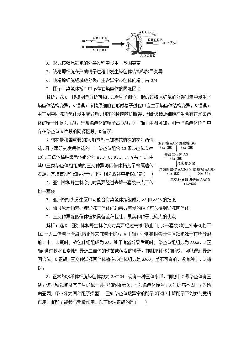 2024届高考生物一轮总复习课时验收评价三十染色体变异与育种及人类遗传病第3页