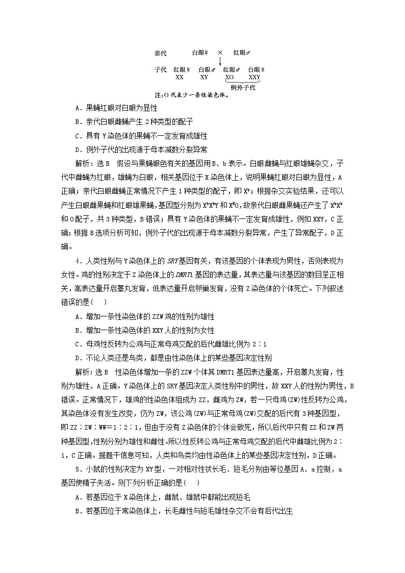 2024届高考生物一轮总复习课时验收评价十九基因在染色体上和伴性遗传 试卷02
