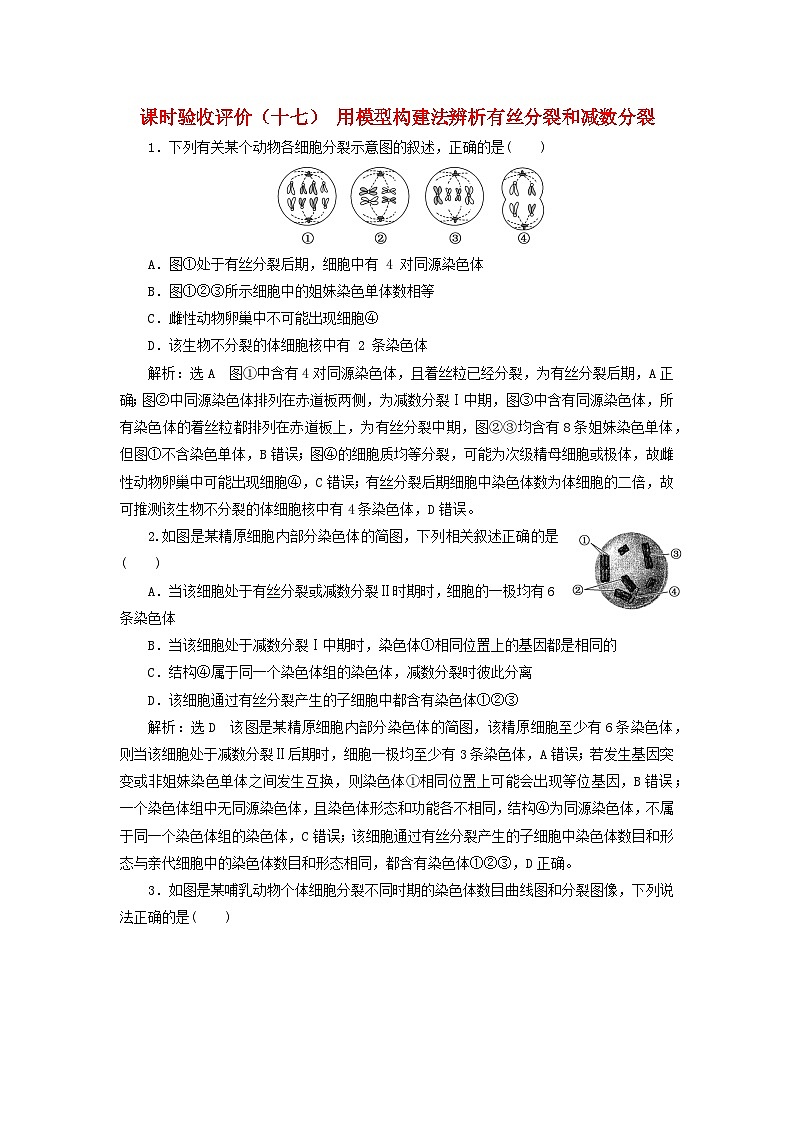 2024届高考生物一轮总复习课时验收评价十七用模型构建法辨析有丝分裂和减数分裂第1页