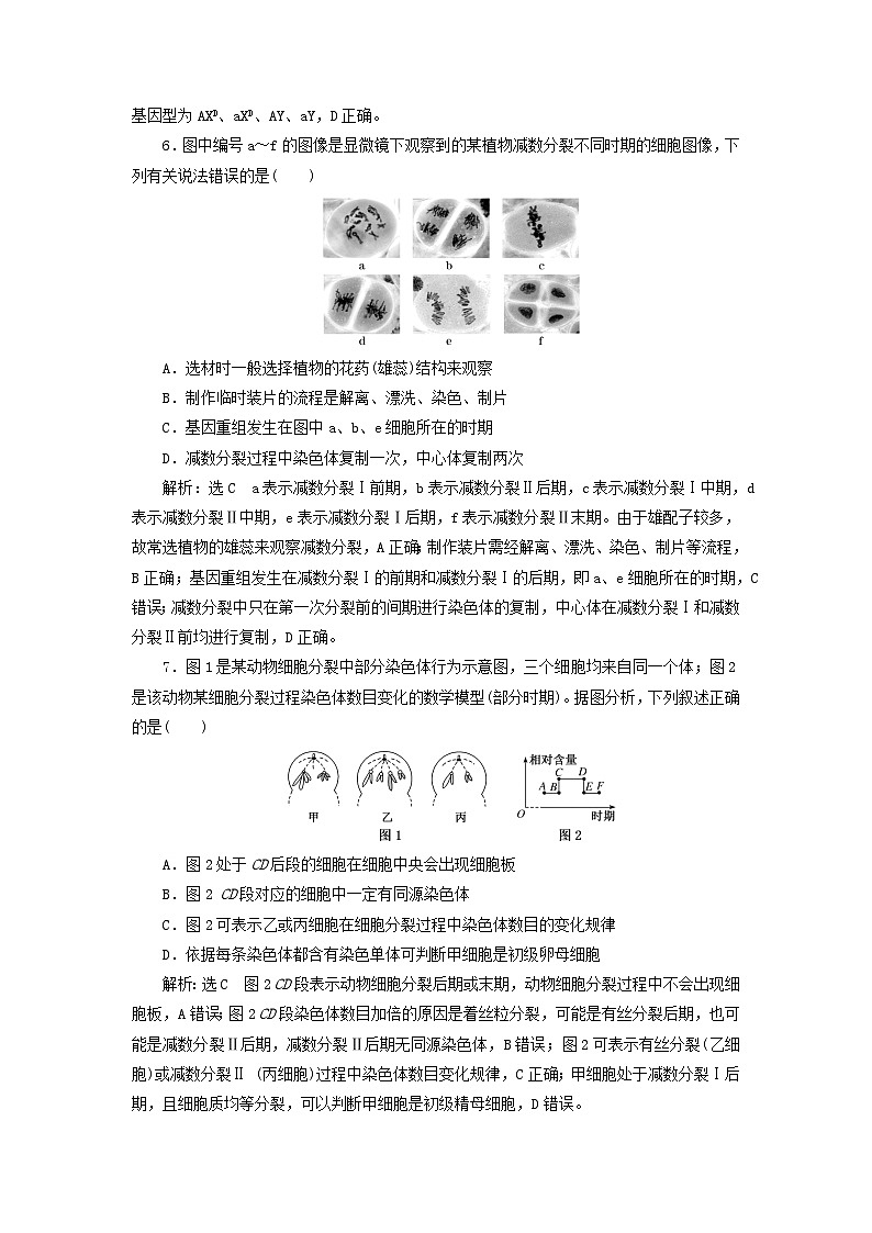 2024届高考生物一轮总复习课时验收评价十五细胞的增殖含减数分裂第3页