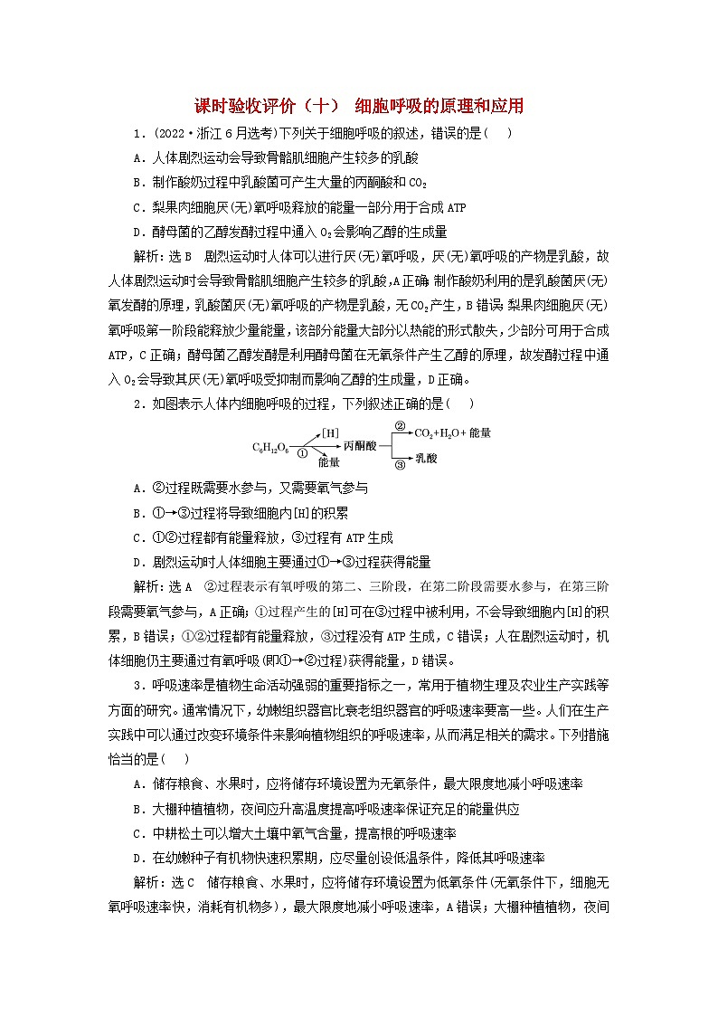 2024届高考生物一轮总复习课时验收评价十细胞呼吸的原理和应用第1页