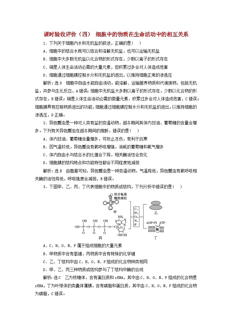 2024届高考生物一轮总复习课时验收评价四细胞中的物质在生命活动中的相互关系第1页