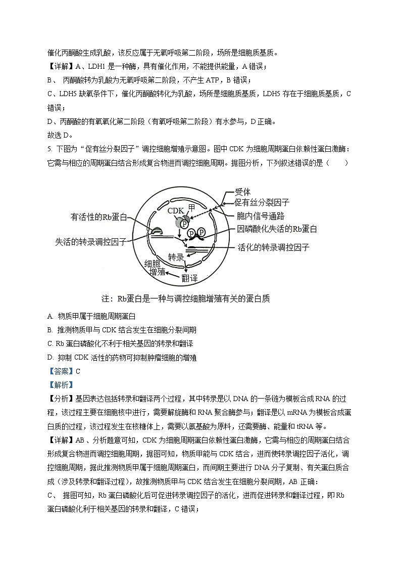 重庆市八中2023届高三（二模）生物试题（解析版）03