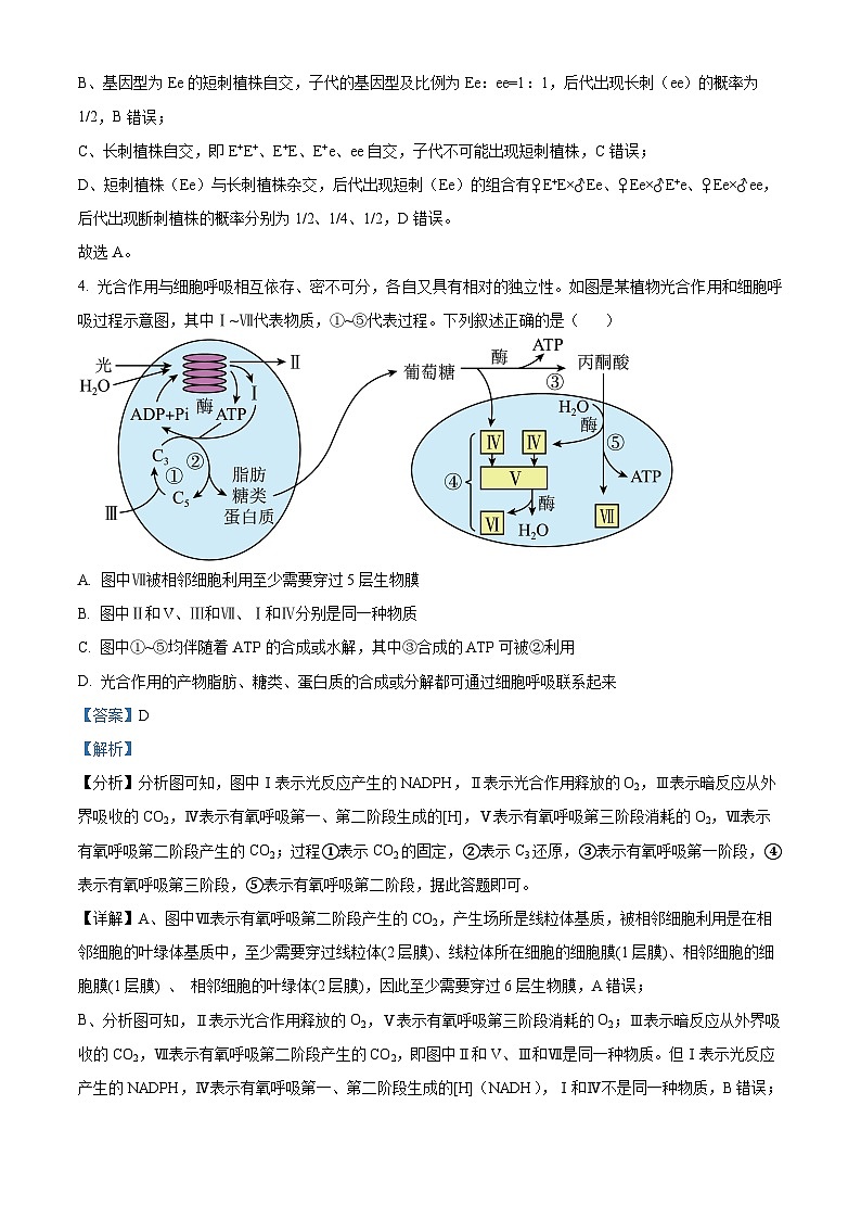 四川省绵阳市南山中学实验学校2022-2023学年高三生物（补习班）下学期3月月考试题（Word版附解析）第3页