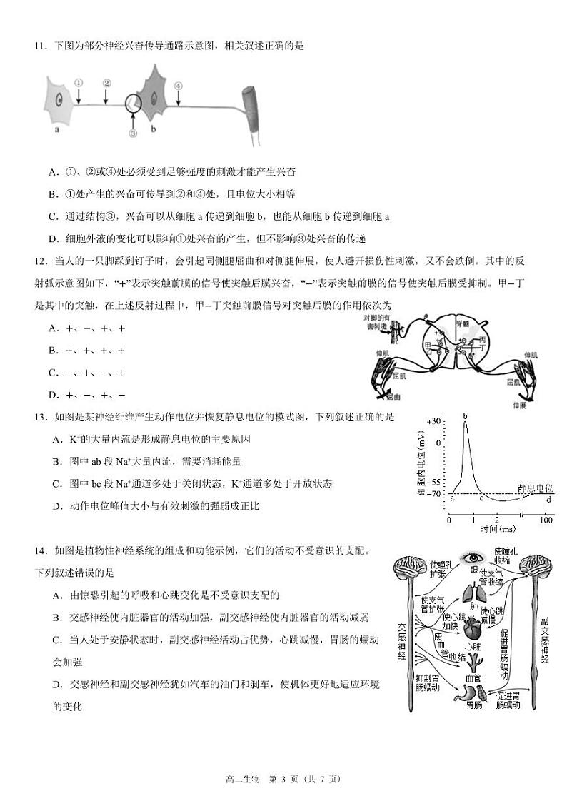 福建省泉州市南安市华侨中学2023-2024学年高二上学期8月月考生物试题第3页