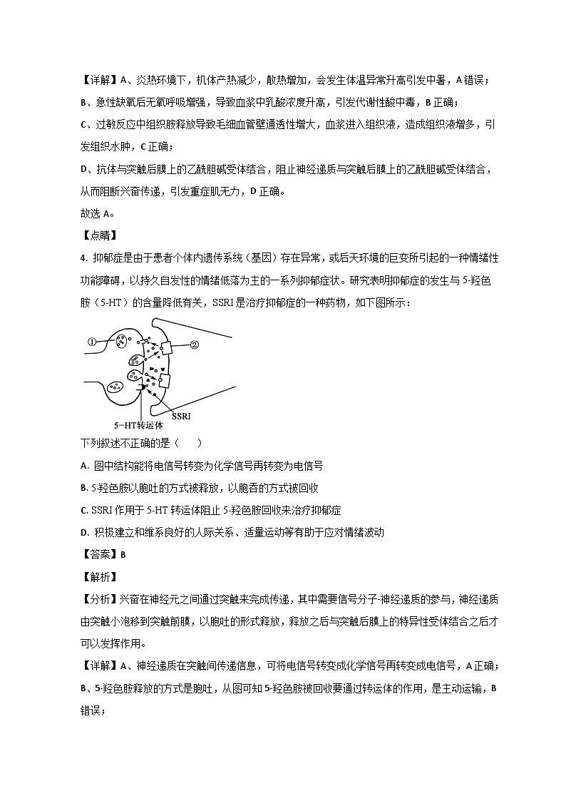 2023济南莱芜一中高二上学期期末阶段性生物试题含解析03