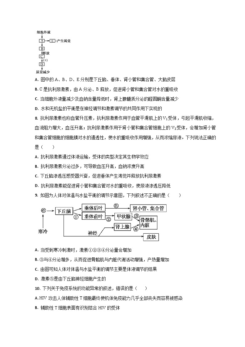 2023济南莱芜一中高二上学期期末阶段性生物试题含解析03