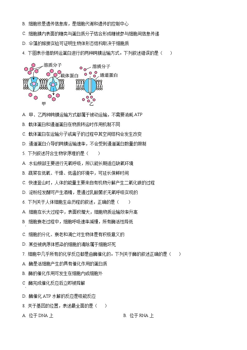2023六盘水高一下学期期末生物试题含解析02