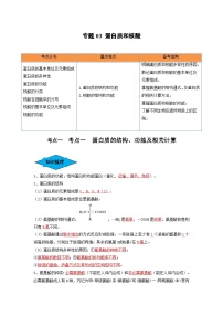 专题03 蛋白质和核酸（串讲）-备战2024年高考生物一轮复习串讲精练（新高考专用）（解析版）