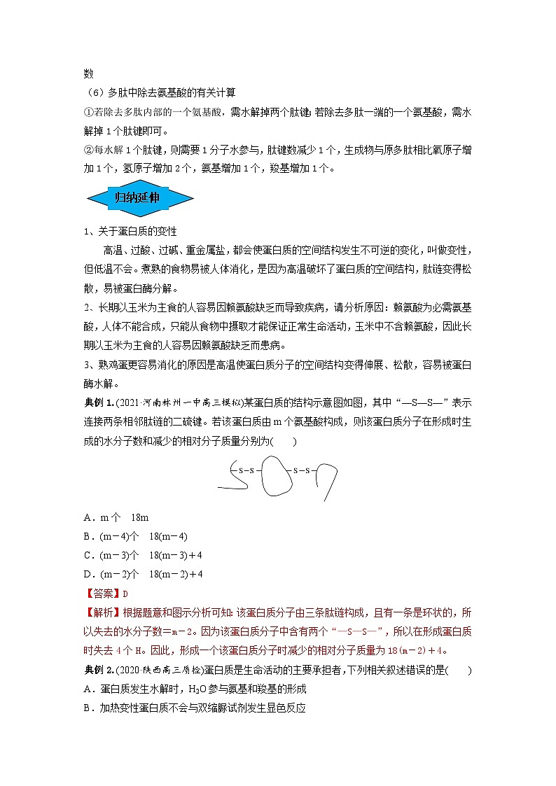 专题03 蛋白质和核酸（串讲）-备战2024年高考生物一轮复习串讲精练（新高考专用）（解析版）第3页
