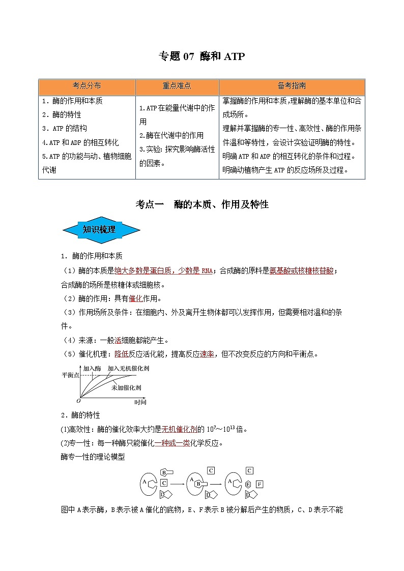 专题07 酶和ATP（串讲）-备战2024年高考生物一轮复习串讲精练（新高考专用）（解析版）第1页