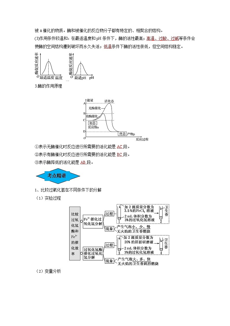专题07 酶和ATP（串讲）-备战2024年高考生物一轮复习串讲精练（新高考专用）（解析版）第2页