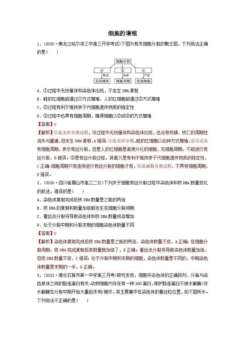 专题11 细胞的增殖（精练）-备战2024年高考生物一轮复习串讲精练（新高考专用）（解析版）01