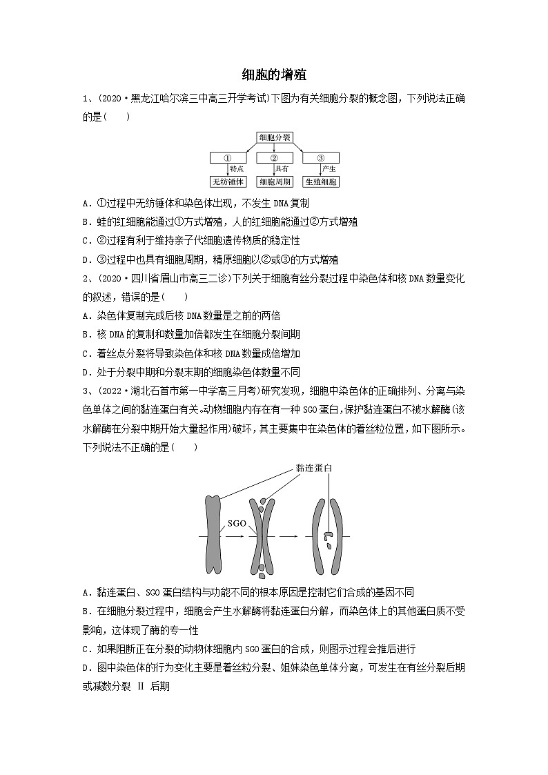 专题11 细胞的增殖（精练）-备战2024年高考生物一轮复习串讲精练（新高考专用）（原卷版）01