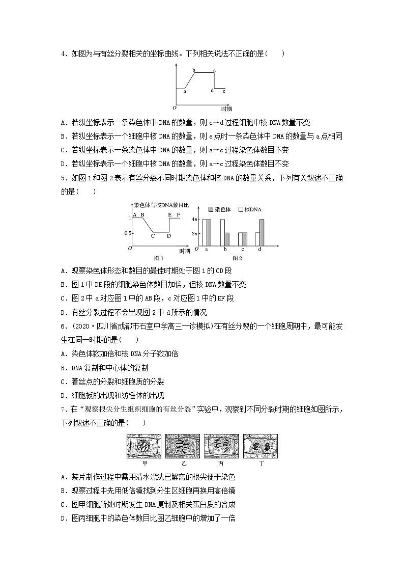 专题11 细胞的增殖（精练）-备战2024年高考生物一轮复习串讲精练（新高考专用）（原卷版）02