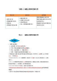 专题12 减数分裂和受精作用（串讲）-备战2024年高考生物一轮复习串讲精练（新高考专用）（解析版）