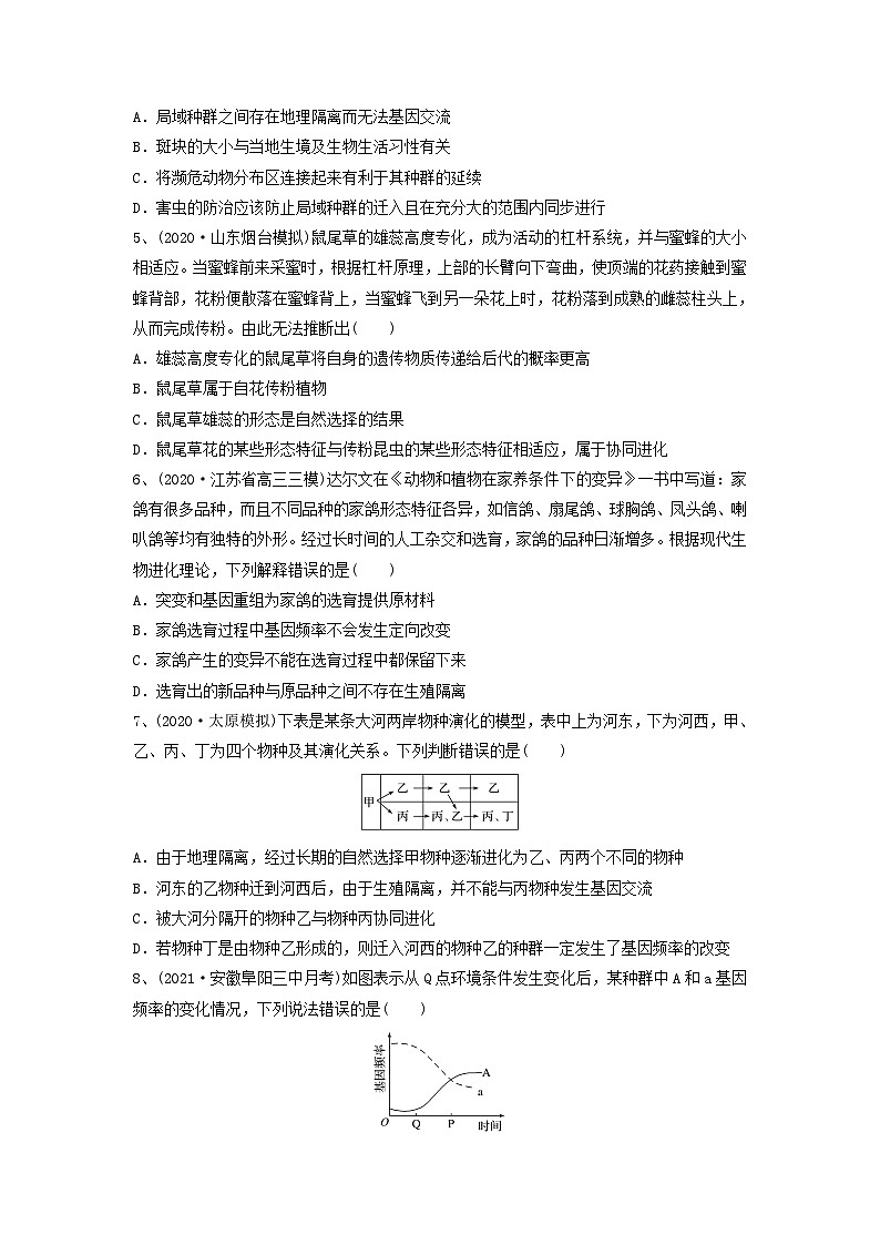 专题22 生物的进化（精练）-备战2024年高考生物一轮复习串讲精练（新高考专用）（原卷版）02