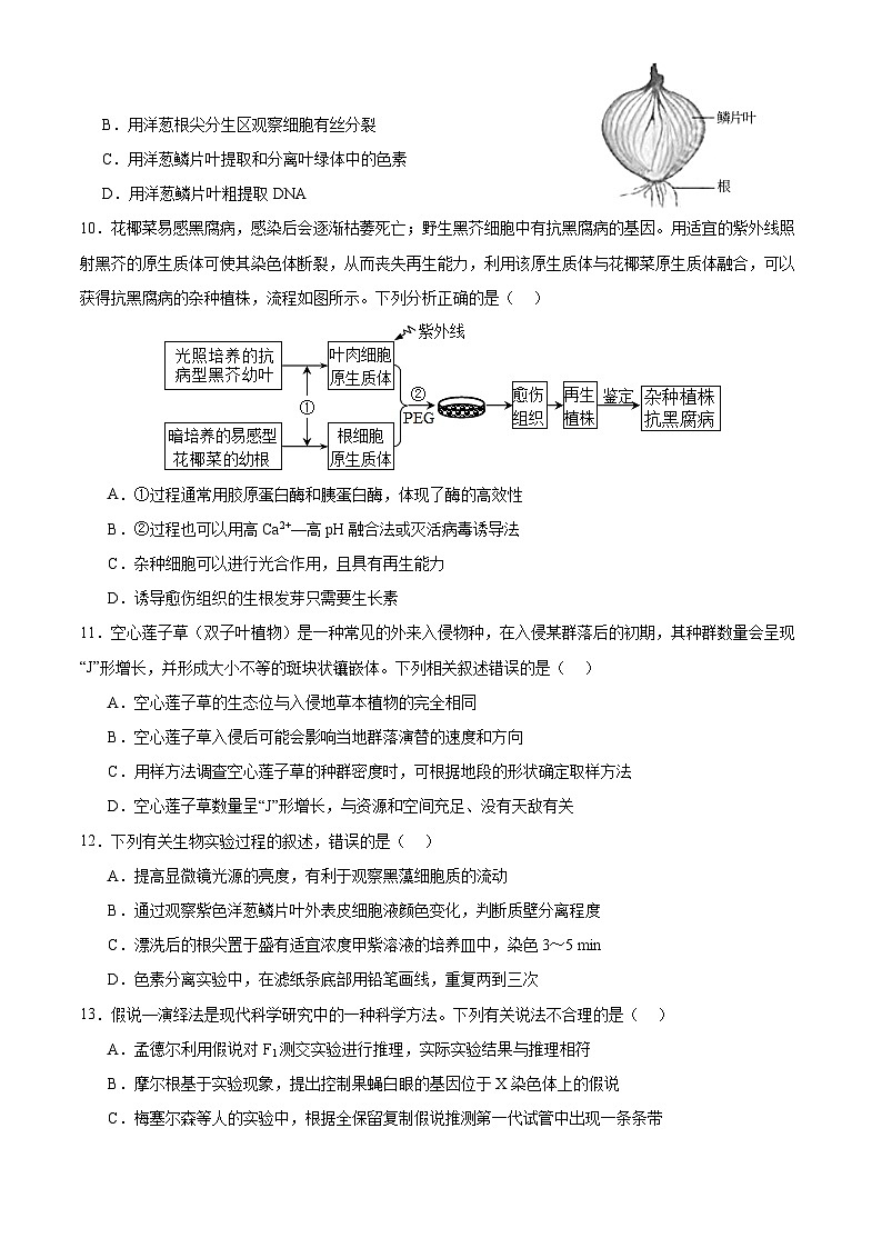 江苏省南通市如皋市2023-2024学年高三上学期期初考试押题生物试题03