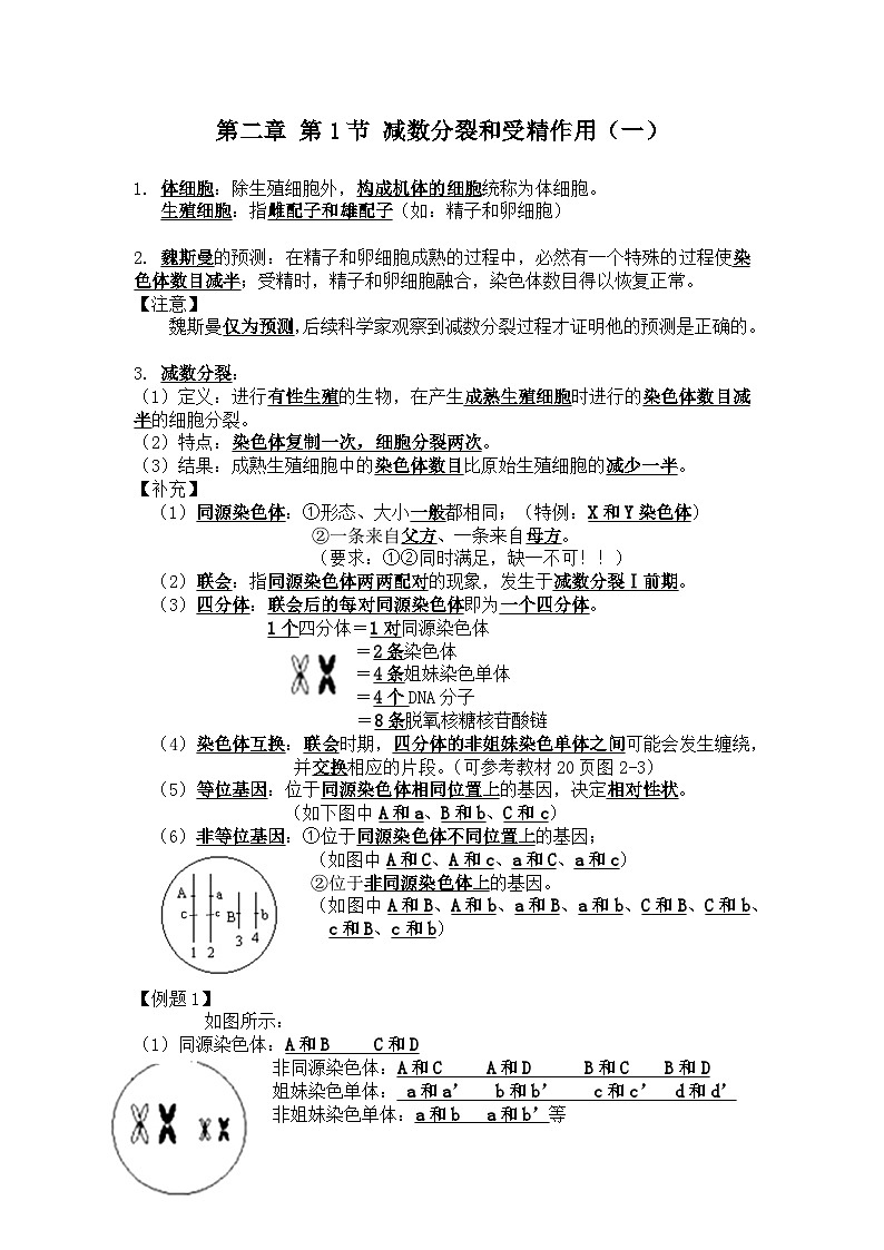 高中生物学人教版（2019）必修二  第2章 基因和染色体的关系学案01