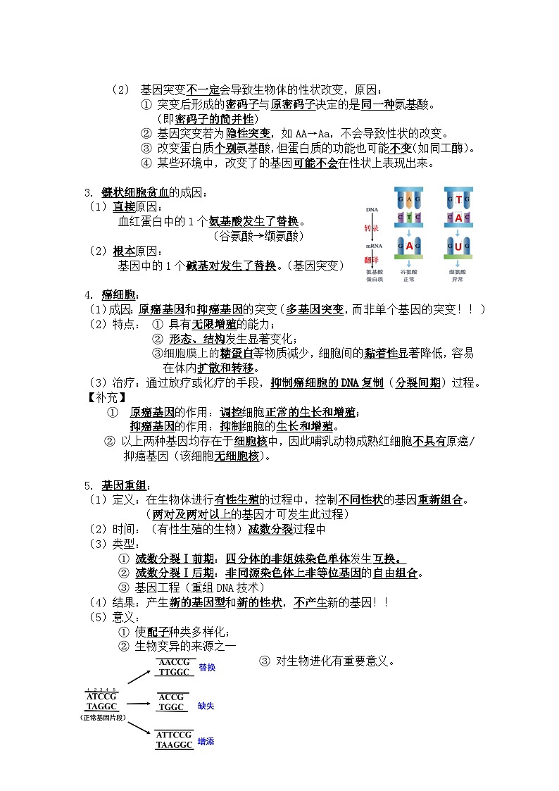 高中生物学人教版（2019）必修二 第5章 基因突变及其他变异 学案02