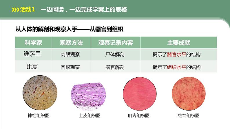 第1章 第1节 细胞是生命活动的基本单位 课件08