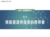 第2章 第5节　核酸是遗传信息的携带者  高中生物学人教版（2019）必修一课件PPT