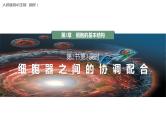 第3章 第2节 第2课时 细胞器之间的协调配合 高中生物学人教版（2019）必修一课件PPT