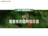 第3章 第3节 细胞核的结构和功能 高中生物学人教版（2019）必修一课件PPT