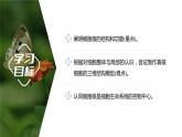 第3章 第3节 细胞核的结构和功能 高中生物学人教版（2019）必修一课件PPT