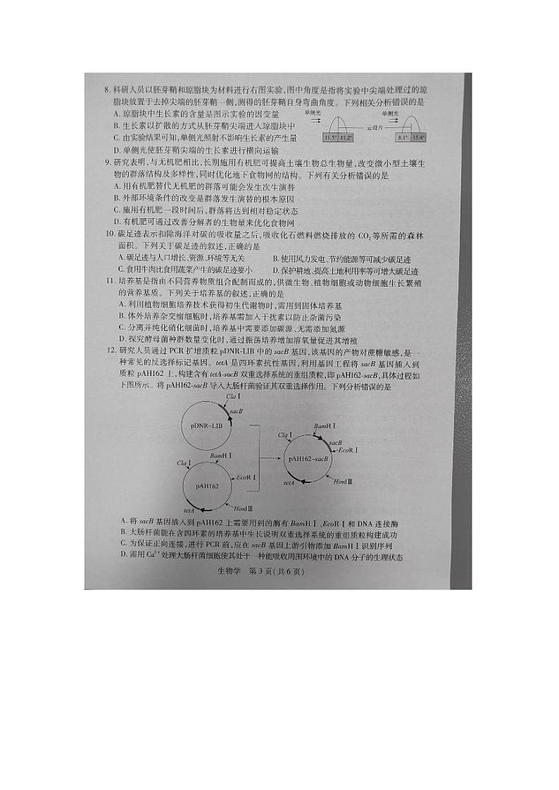 2024江西省稳派上进教育高三上学期8月入学摸底考试生物PDF版含解析03