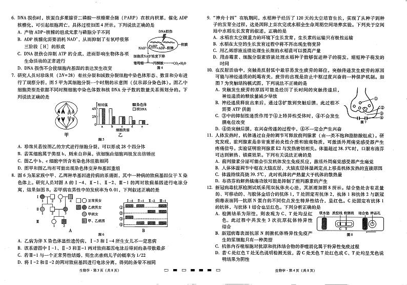 贵州省六校联盟2024届高三上学期高考实用性联考卷（一）生物第2页