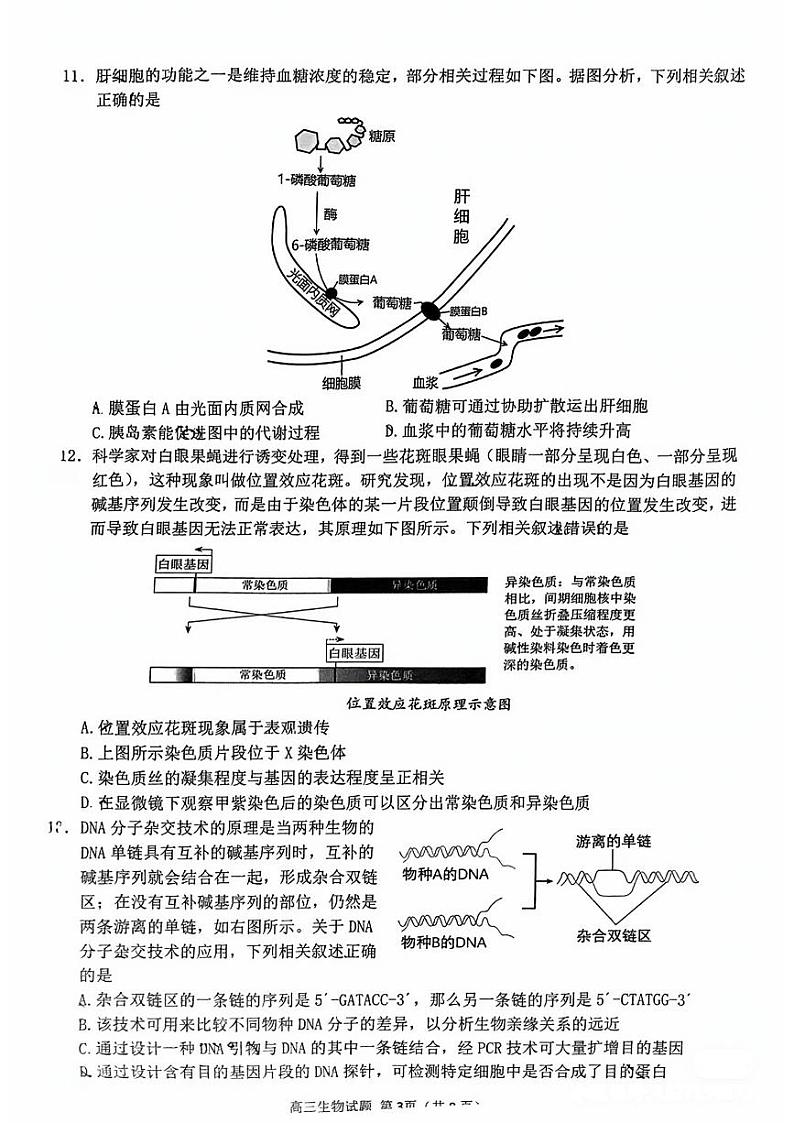 2024届福建省泉州市高中毕业班质量检测（一）生物第3页