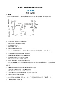 解密02 细胞的基本结构（分层训练)-【高频考点解密】2023年高考生物二轮复习讲义+分层训练（原卷版）