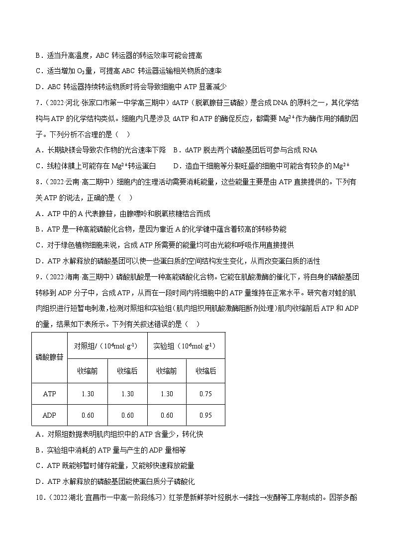 解密04 酶与ATP（分层训练）-【高频考点解密】2023年高考生物二轮复习讲义+分层训练（新教材）（原卷版）第3页