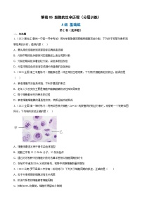 解密05 细胞的生命历程（分层训练)-【高频考点解密】2023年高考生物二轮复习讲义+分层训练（原卷版）